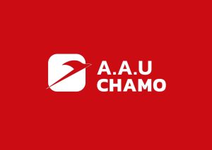 A.A.U Chamo Emerges as Trusted Name in Travel, Logistics Services